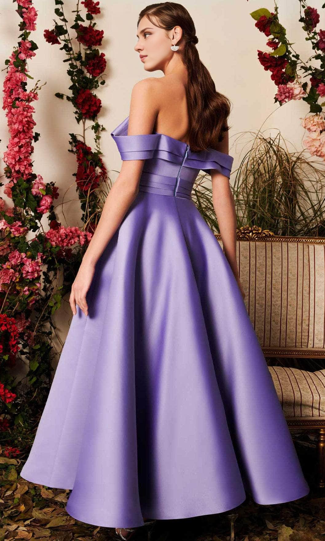 Gowns Evening Dresses/ Off Strapped Straps Pleats A-line Back zipper Gown/ Evening Dresses/ Formal Women's Dresses/ Prom Dress Shops